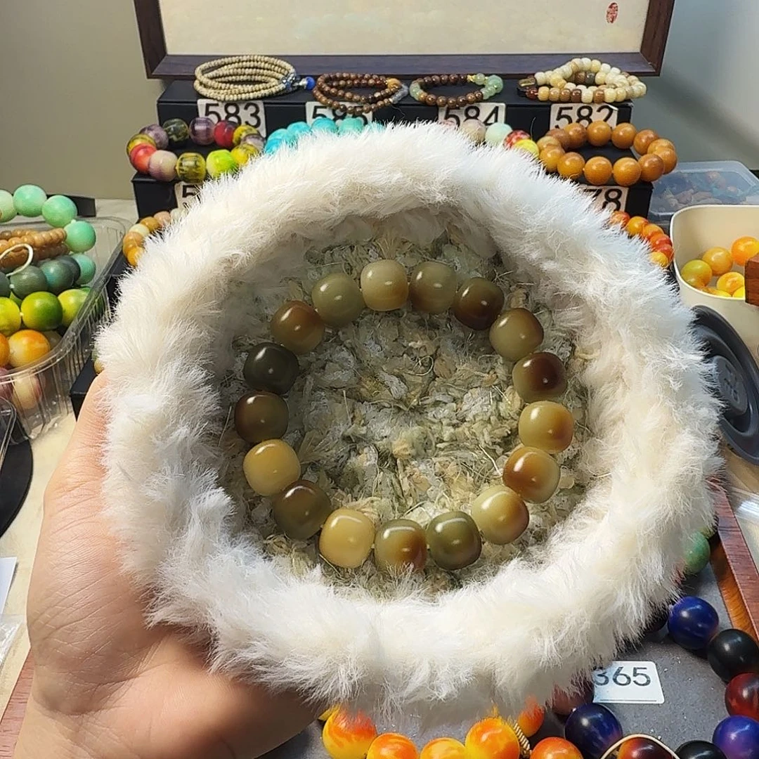 手串菩提根/象牙果