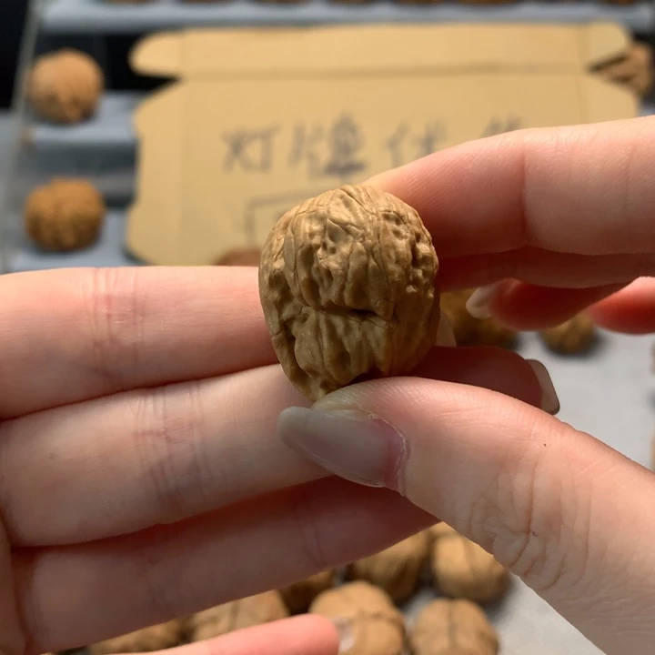 有***年文玩核桃把件异形单只