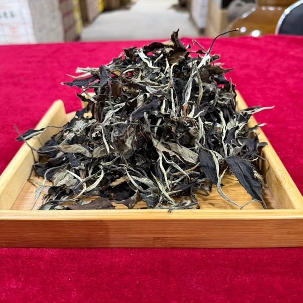 2025年薄荷塘古树白茶大叶种白茶1000克/份茶叶