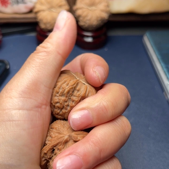 文玩核桃手串@***下白狮子