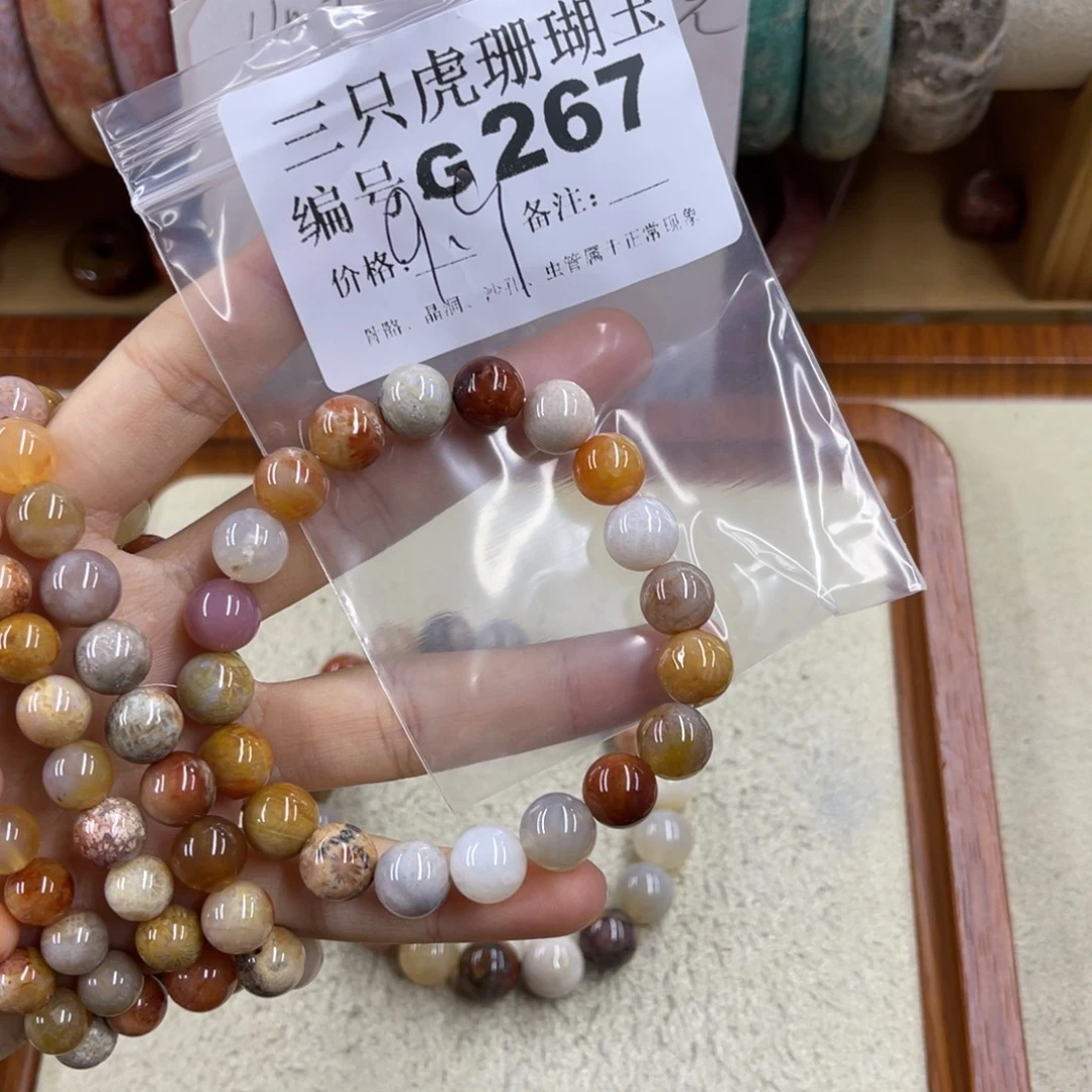 7***6未镶嵌h硅化珊瑚（珊瑚玉）