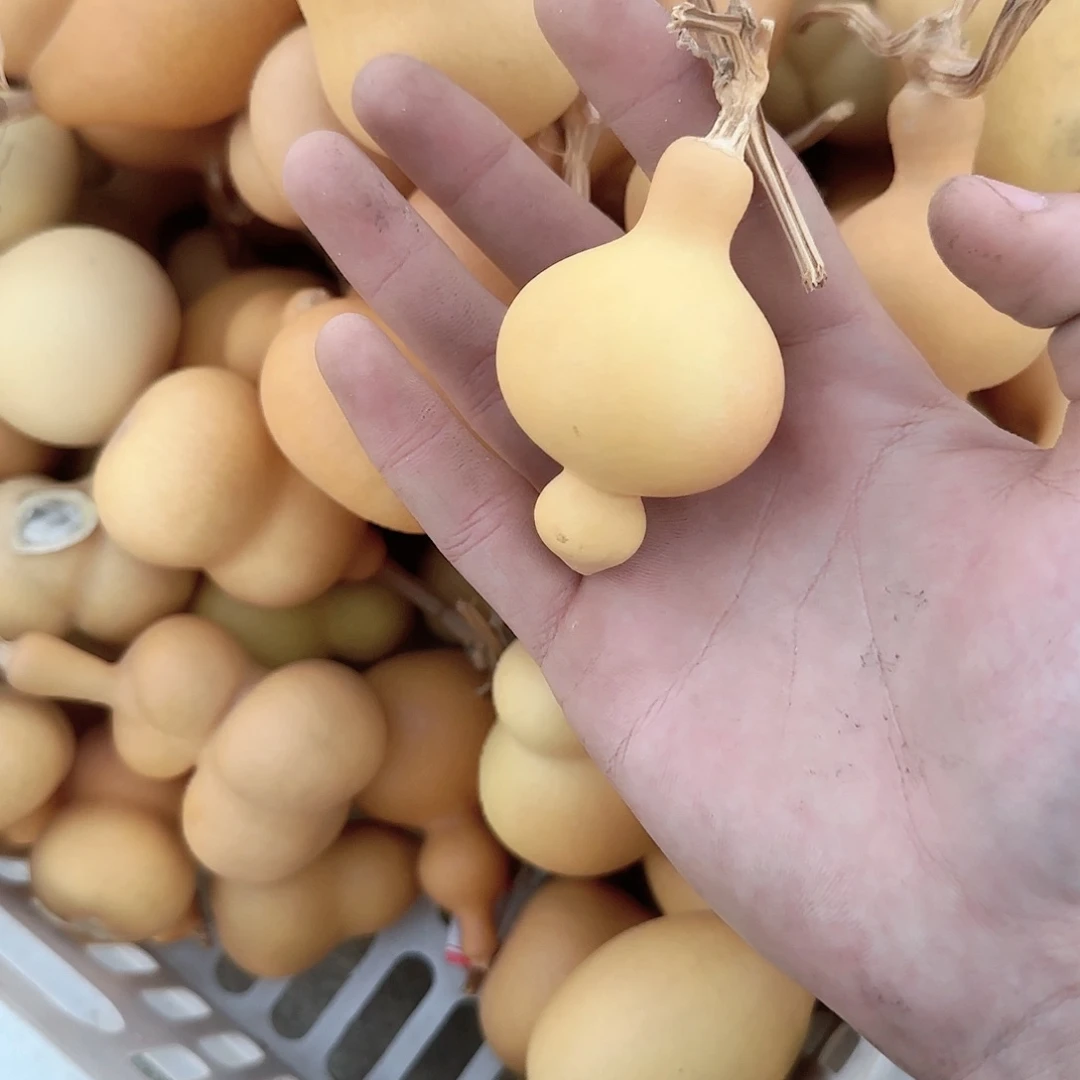 木你在一起我也很高兴的了啊