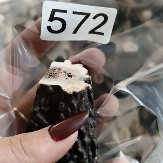 用***4鹿角鹿角鹿角鹿角鹿角鹿角
