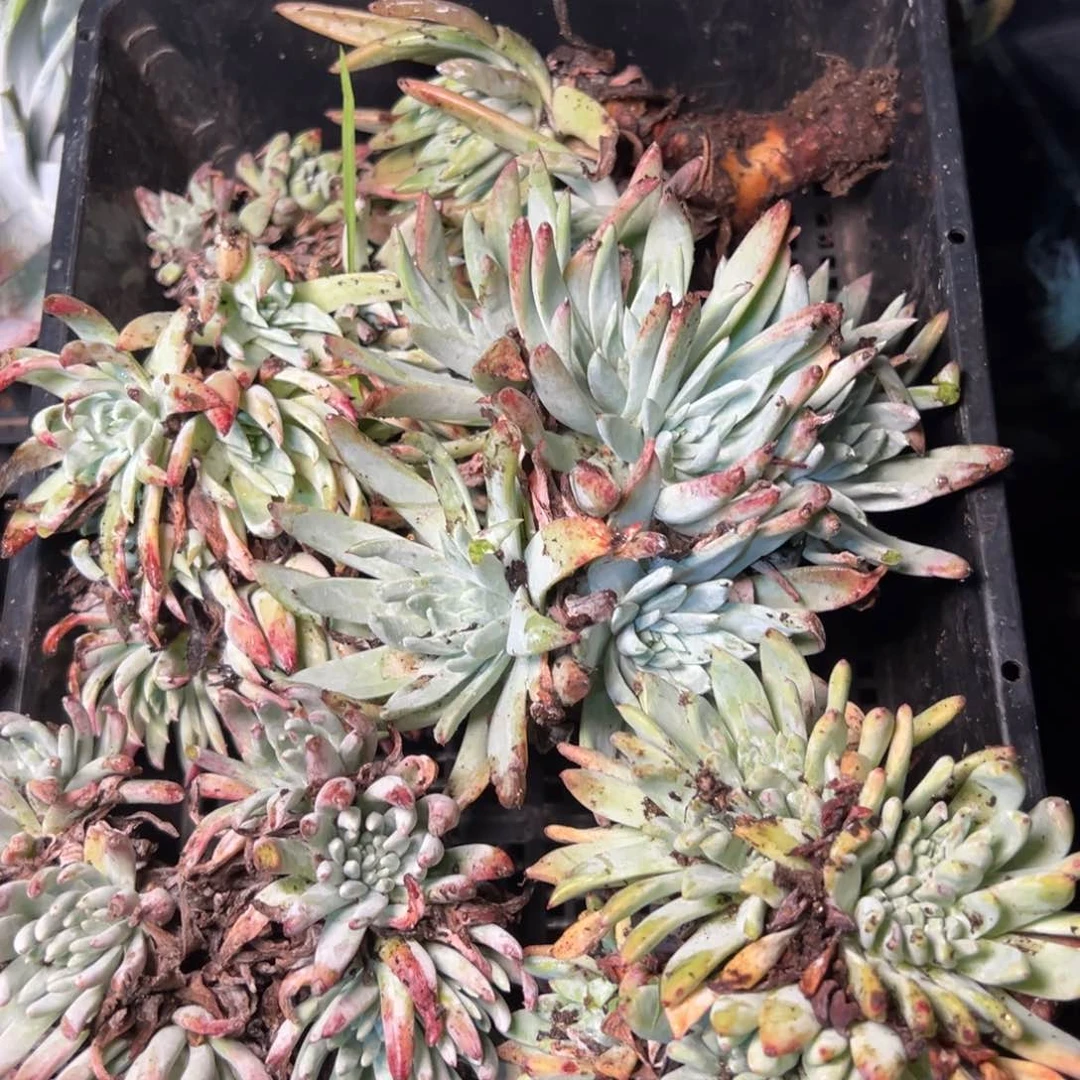 1709哈哈哈哈哈哈哈哈