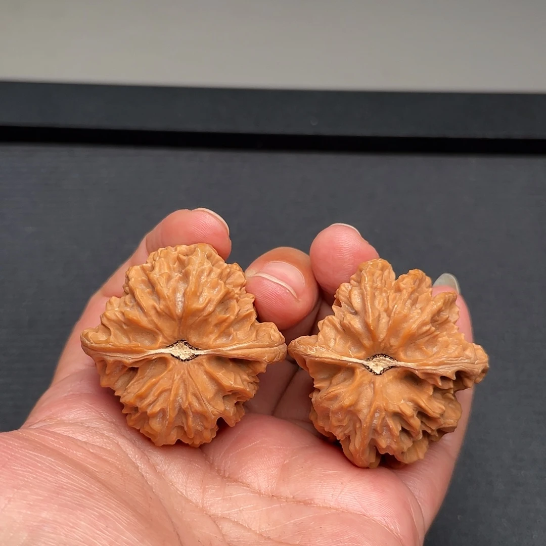 把件猴头核桃40×41全品头茬曹大龙A457