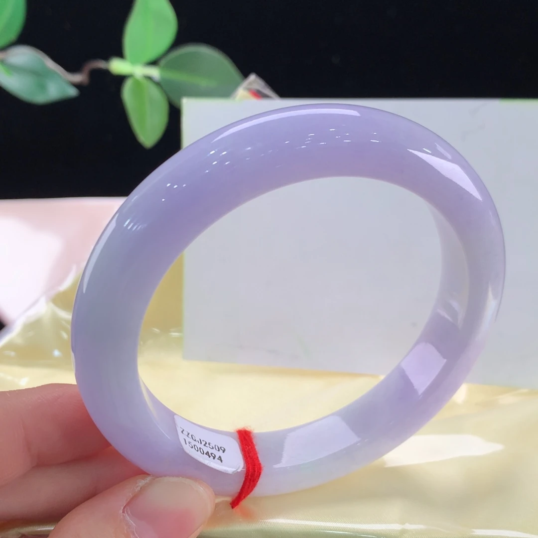 未镶嵌手镯翡翠0494