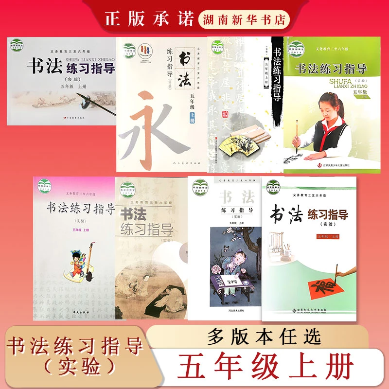课标教科书五年级上册书法练习指导(实验)人民美术湘美版粤教版