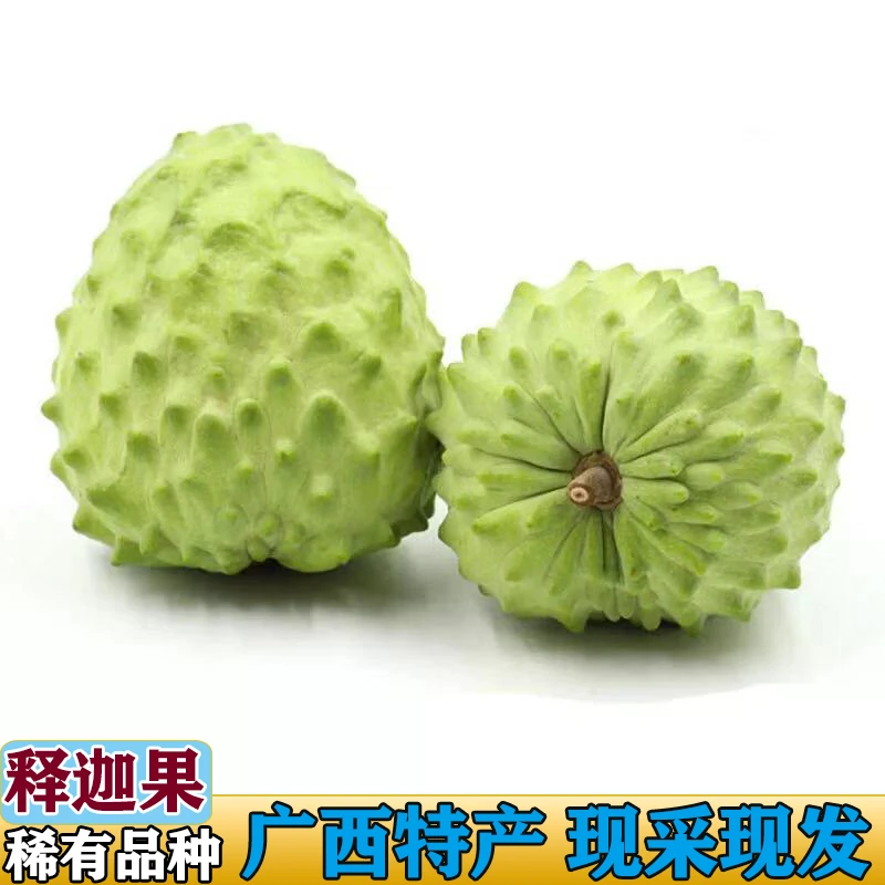 【夏果会开裂】特价广西热带水果牛奶凤梨释迦果鲜果稀有现摘现发
