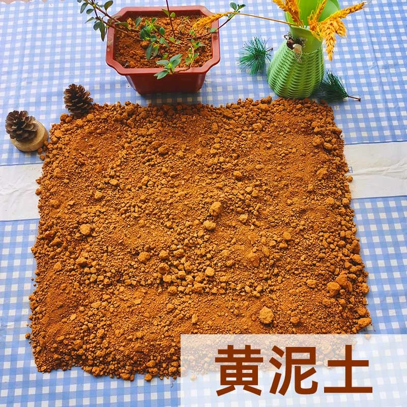 黄土铺平方铺地面深山现挖阳台庭院装饰露台种植室内种花纯黄泥土