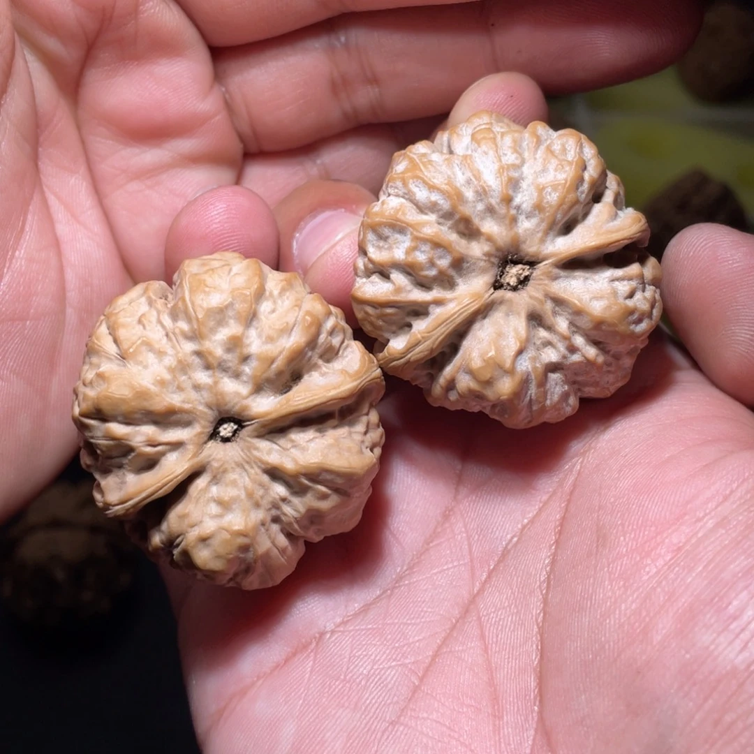 余***勇文玩核桃把件39延庆蛤蟆头