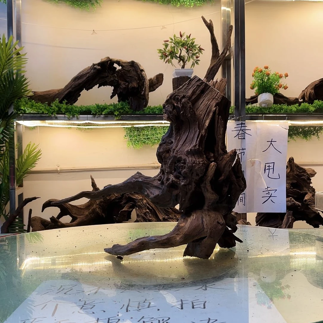 柚木小*沉木鱼缸造景