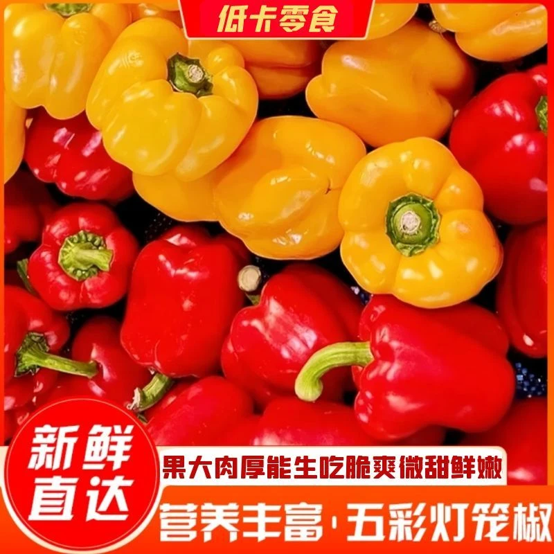 新鲜彩椒生吃脆甜水果椒代餐清脆辣椒乡村农产品水果低卡大方现摘