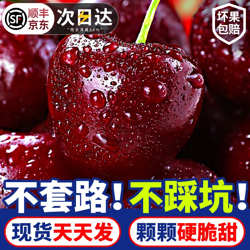 5宠粉【明天到】智利进口车厘子高端（J-5J）2-5斤当季新鲜水果