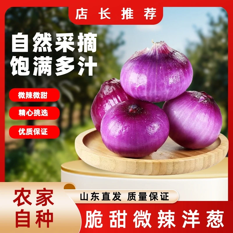 【山东直发】水果洋葱脆甜微辣可生吃二红扁洋葱圆葱头当季新鲜蔬果