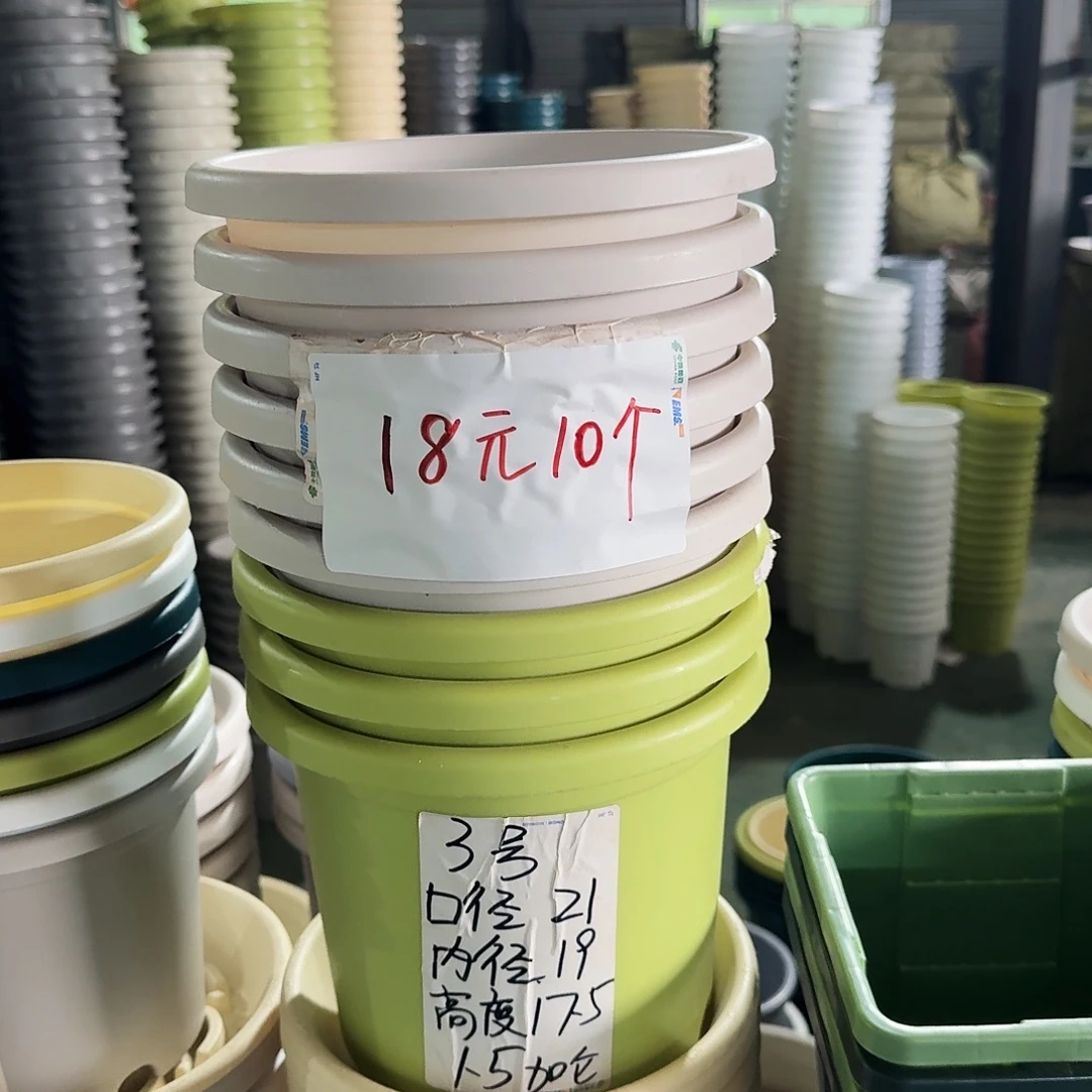 微瑕3#口径21无拖果绿10个