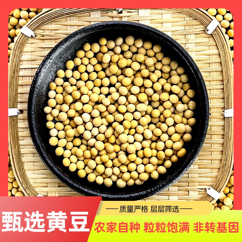 非转基因黄豆打豆浆专用做豆腐煮粥煲汤东北农家特产