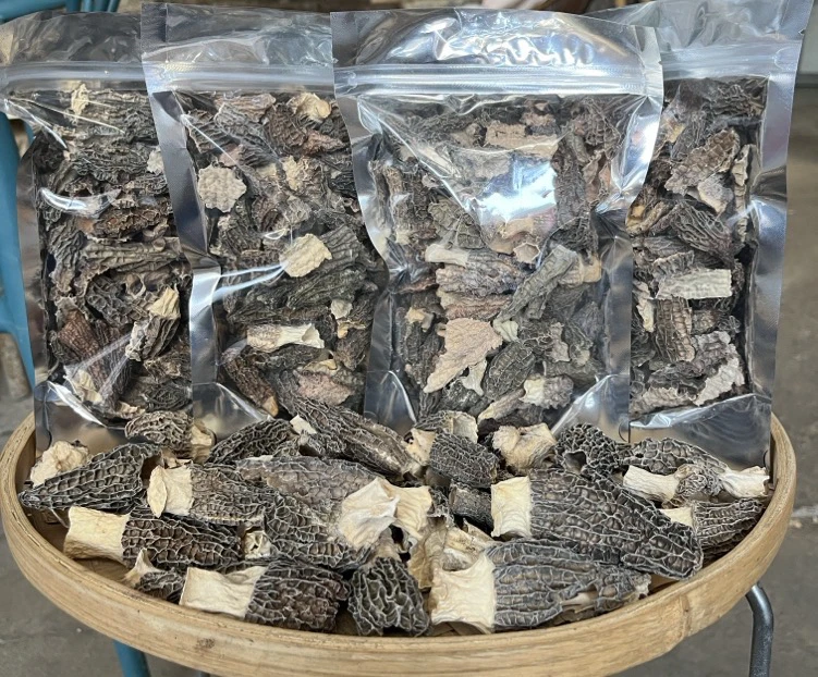 新货厚肉羊肚菌碎片 用于包子馅饺子馅炒菜 无泥土无灰渣干净清爽