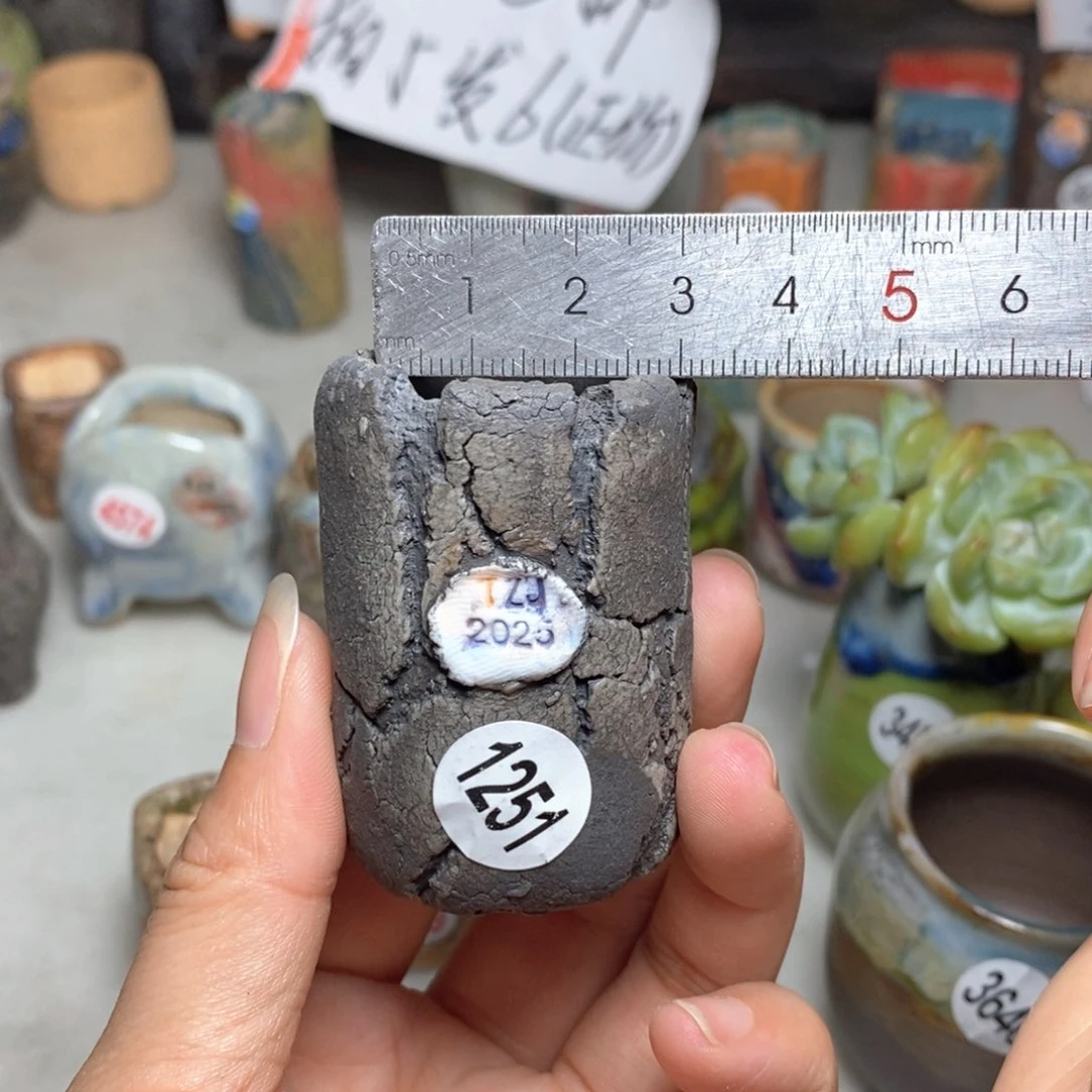 拍5送一个小礼物