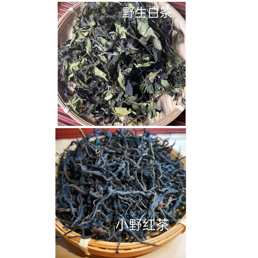 （野生白茶红茶样)2024头春散茶原料  临沧大宗山