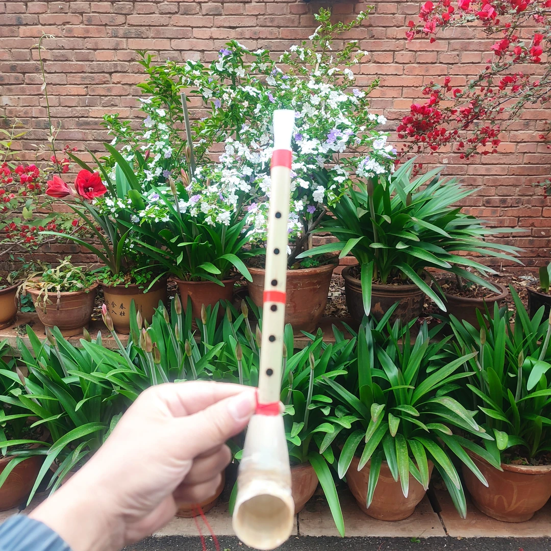 喉管C调天然竹管 牛角树脂哨片无需发水耐用手工制作