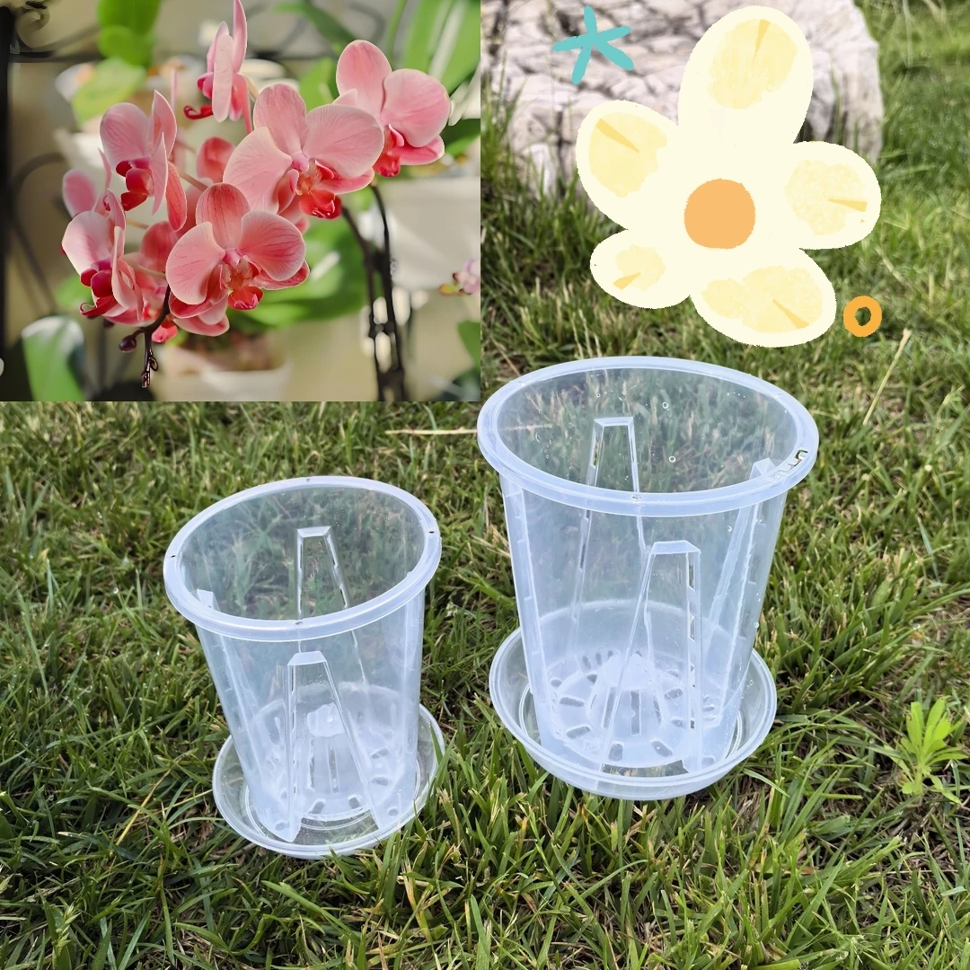 高款透明青山控根盆带空气柱蝴蝶兰专用透气塑料花盆