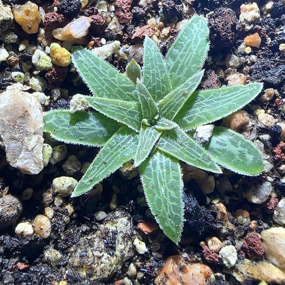 哈哈哈哈哈哈哈55935