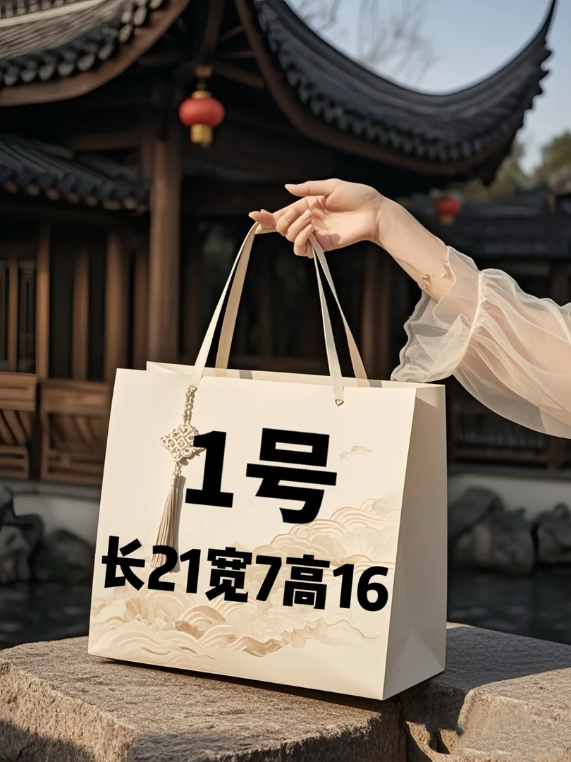 1号小号邮差包时尚经典A6518-2
