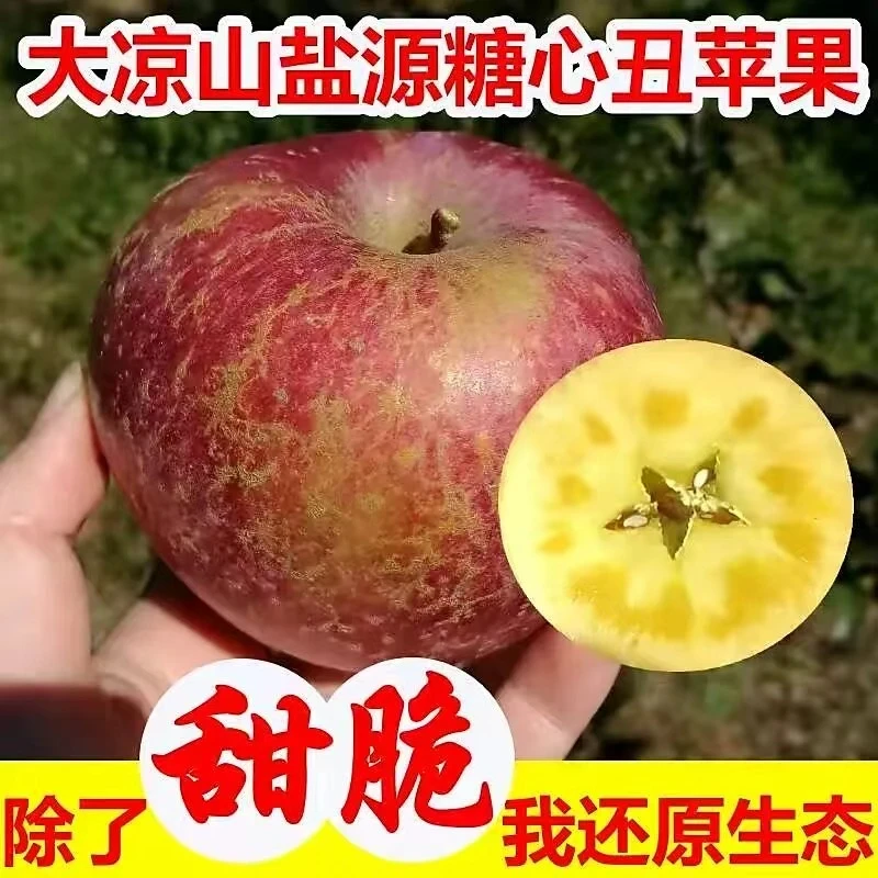 【次日达】大凉山丑苹果盐源苹果新鲜采摘四川省