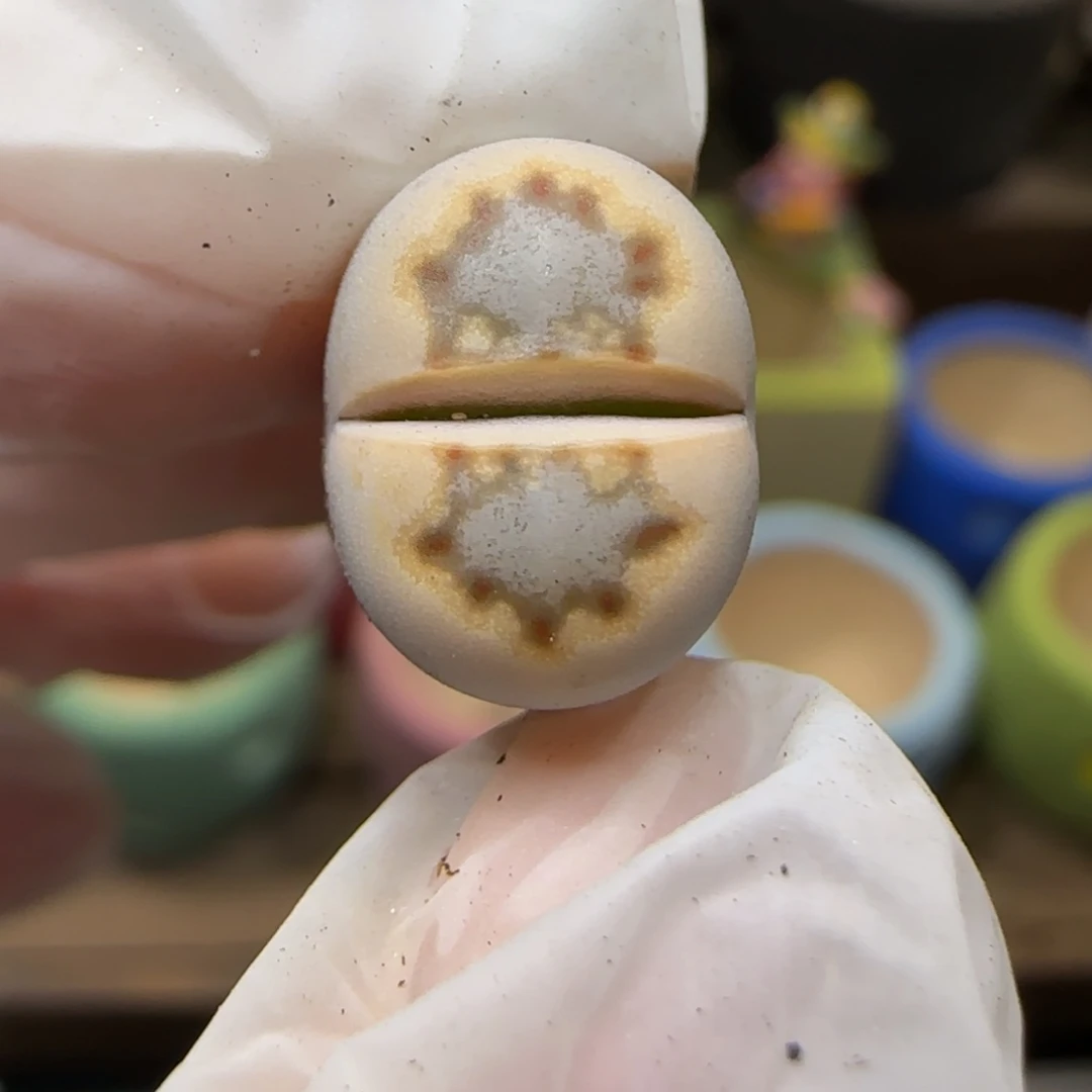12.22.c24饼干.9023福利