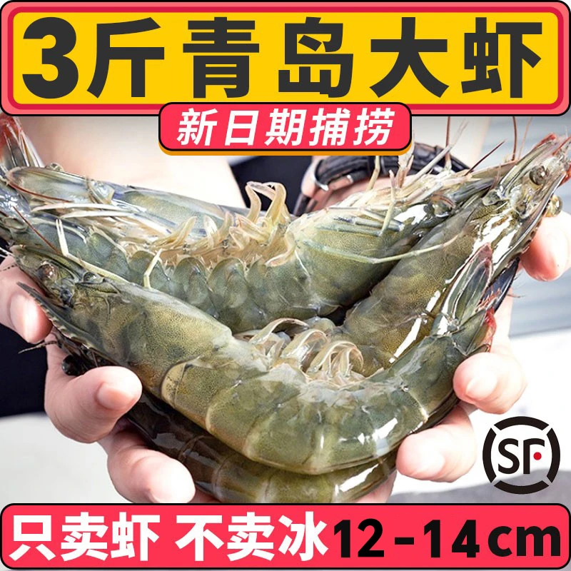 【50/60青岛大虾】新鲜活超大速冻海虾新鲜基围虾海捕冻虾白虾青虾