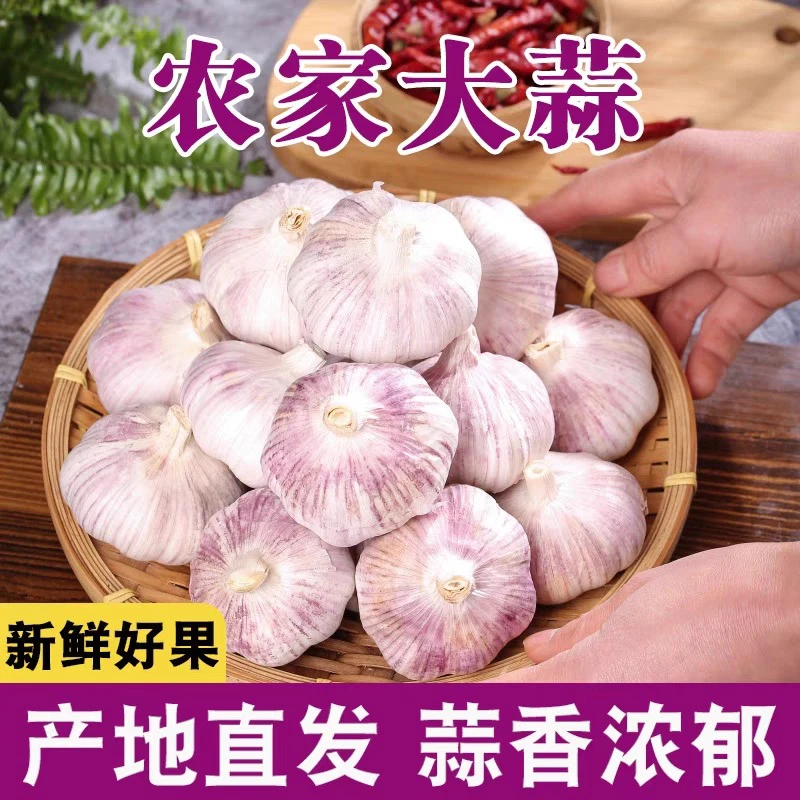 百味绵延农家蒜新干蒜头当季蒜新大蒜头紫白皮大蒜带箱重量标重