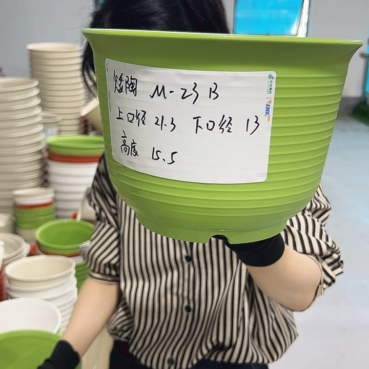 正品矮陶口21高15果绿无托8个