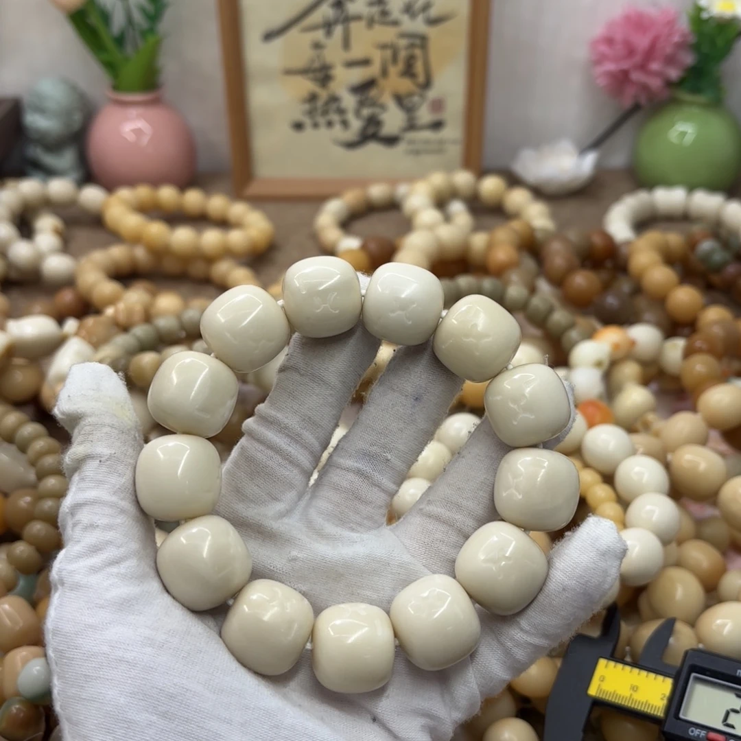 吊坠菩提根/象牙果20干磨牙果卡皮桶750