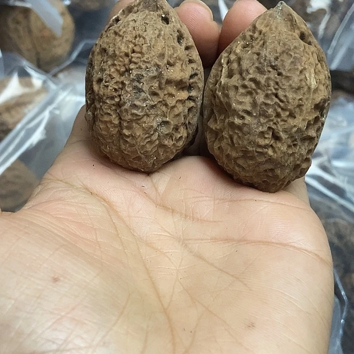 文玩核桃把件云南铁核桃基地4