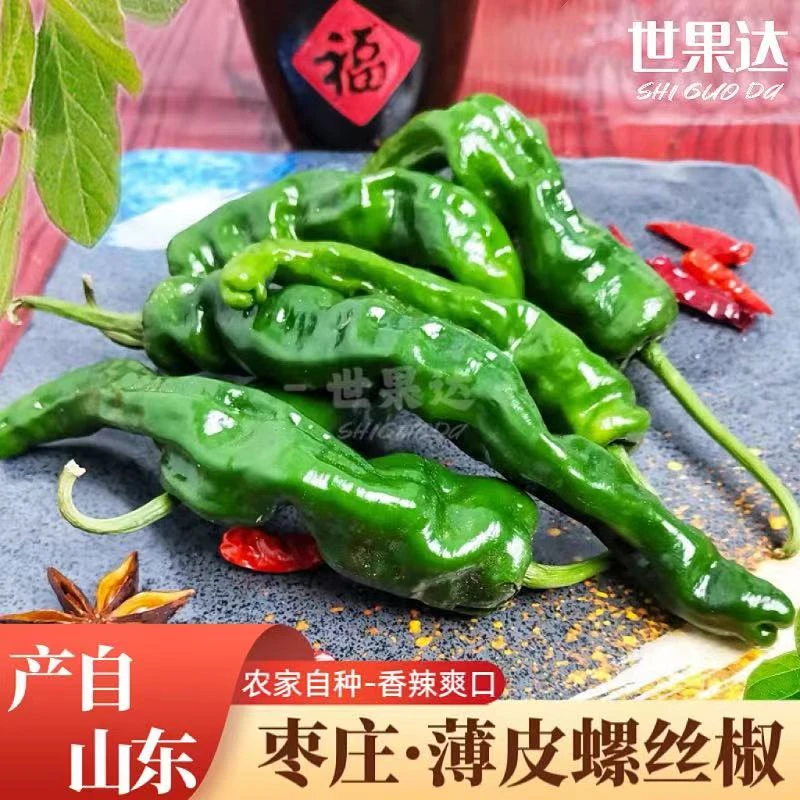 山东枣庄薄皮辣椒炒鸡专用蔬菜新鲜一窝蜂小皱皮本地土螺丝青辣椒