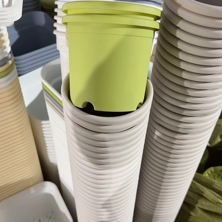 四季口径14果绿10个无托