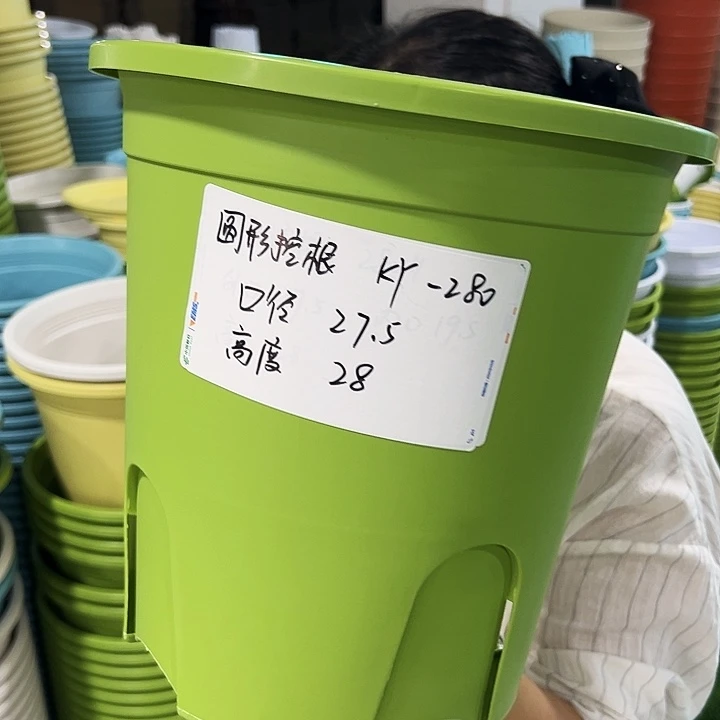 正品圆控口27.5高28果绿无托5只