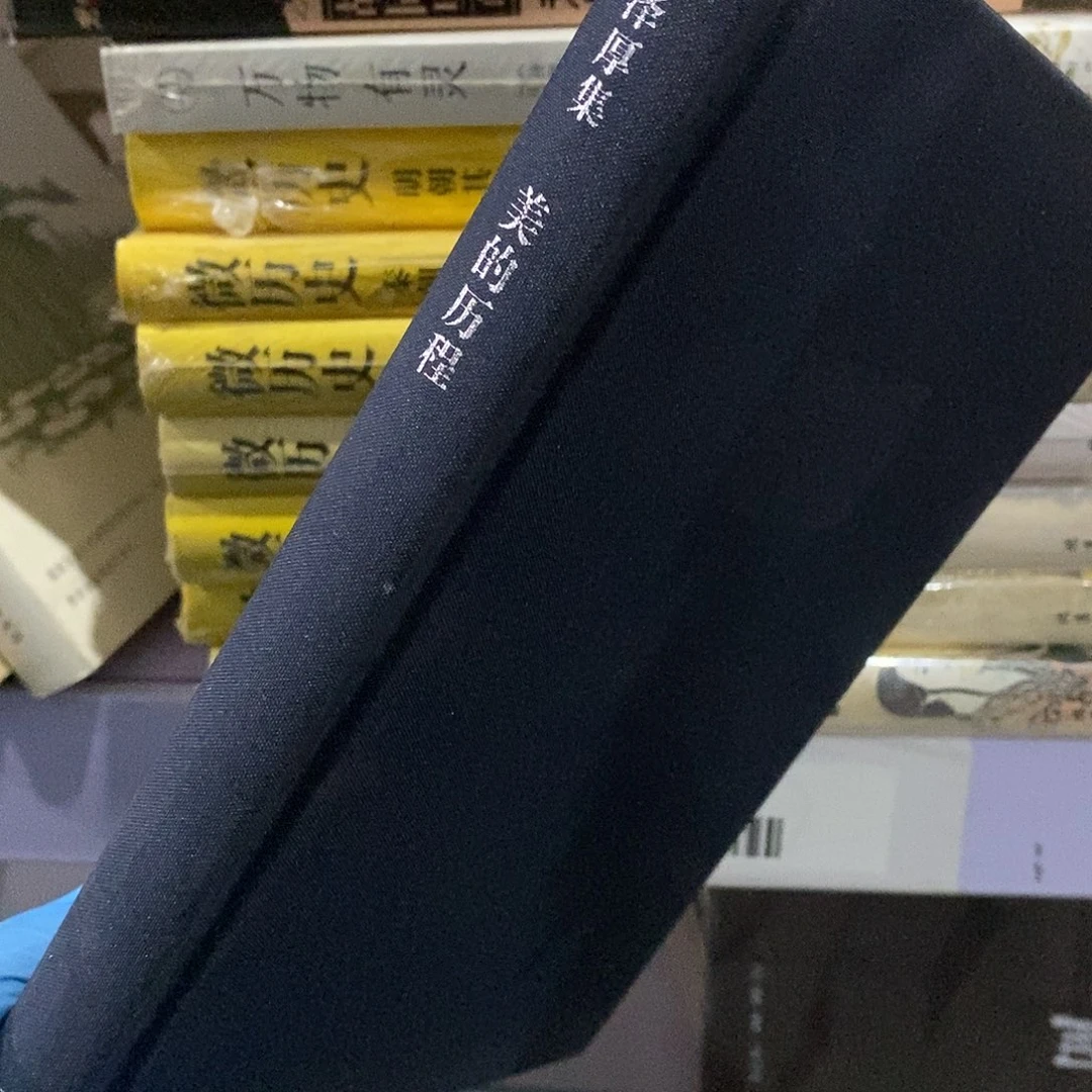 李泽厚 美的历程