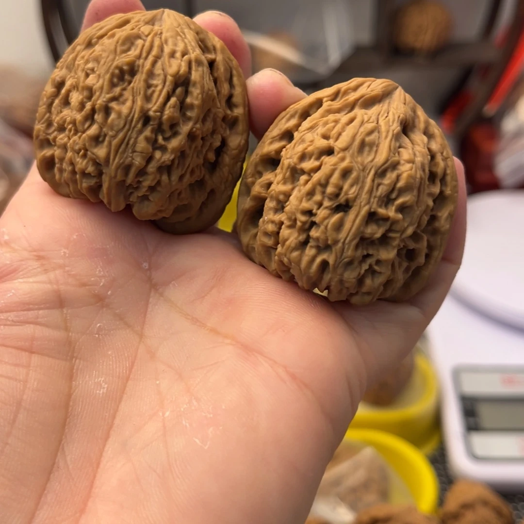 文玩核桃把件陈*人南疆石