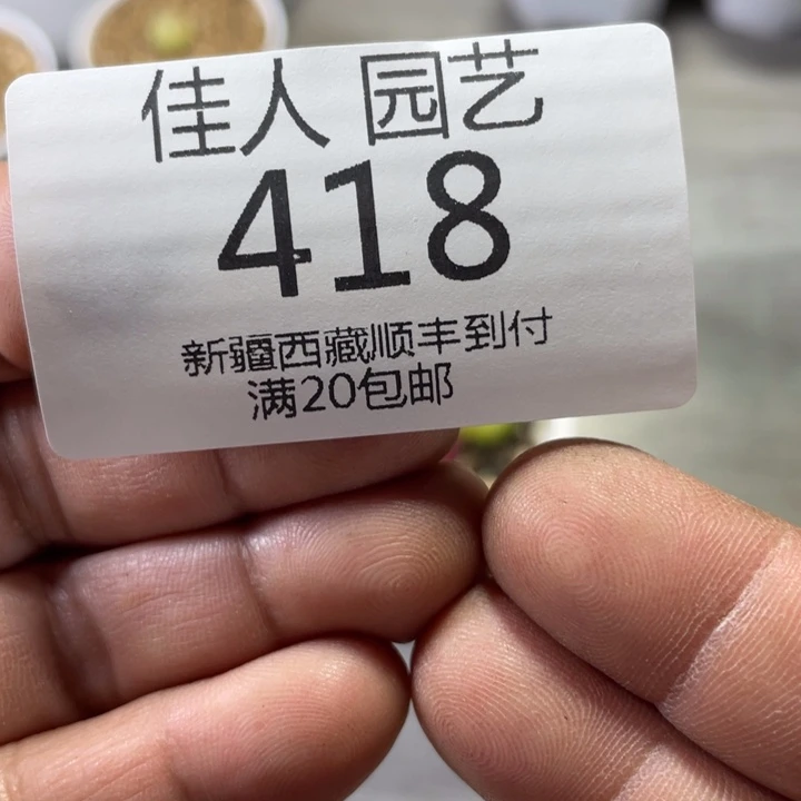 火***吧锅巴饿蓝色绿色蓝色了418