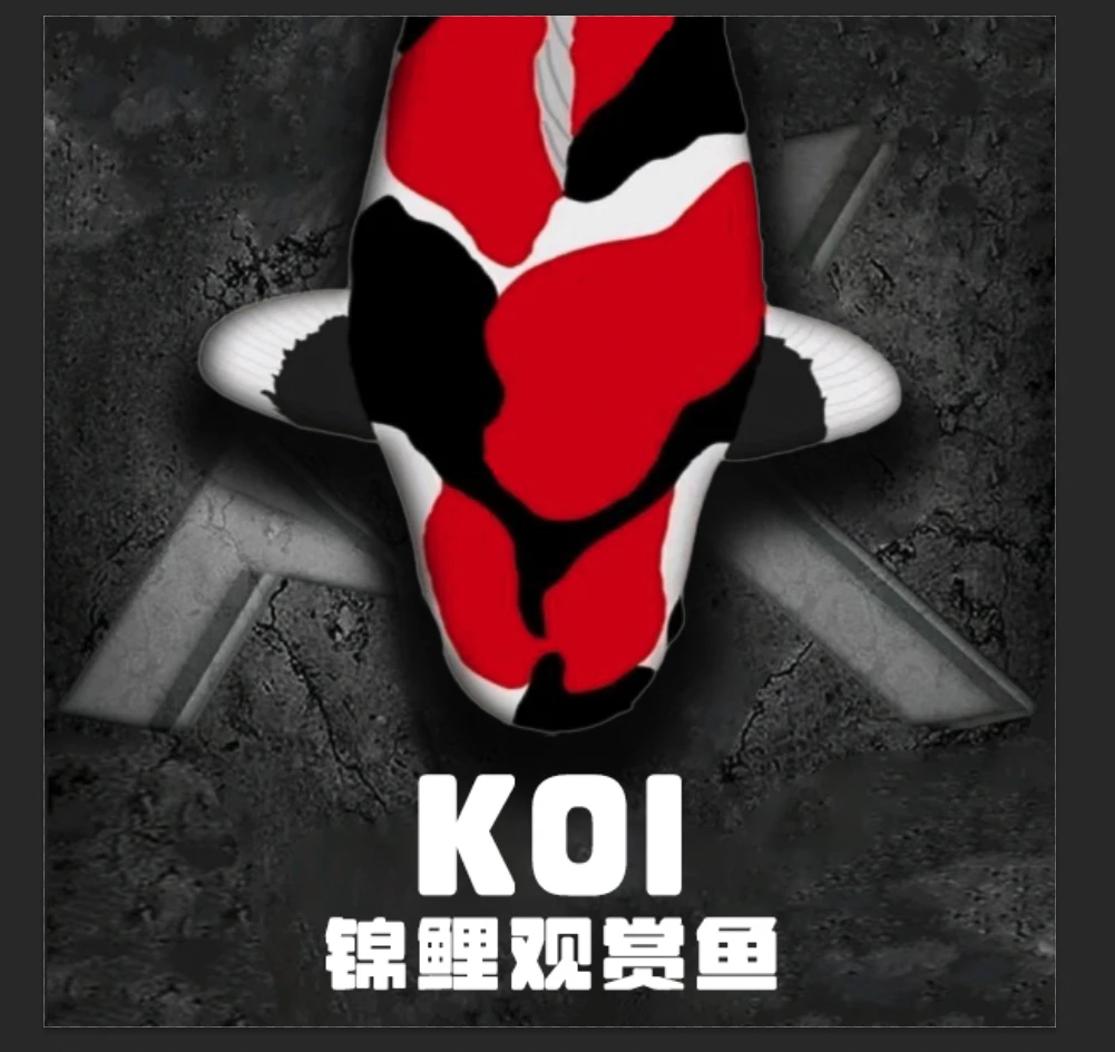 [直播专用]日本血统活体观赏锦鲤鱼实物直播间为准锦鲤观赏鱼