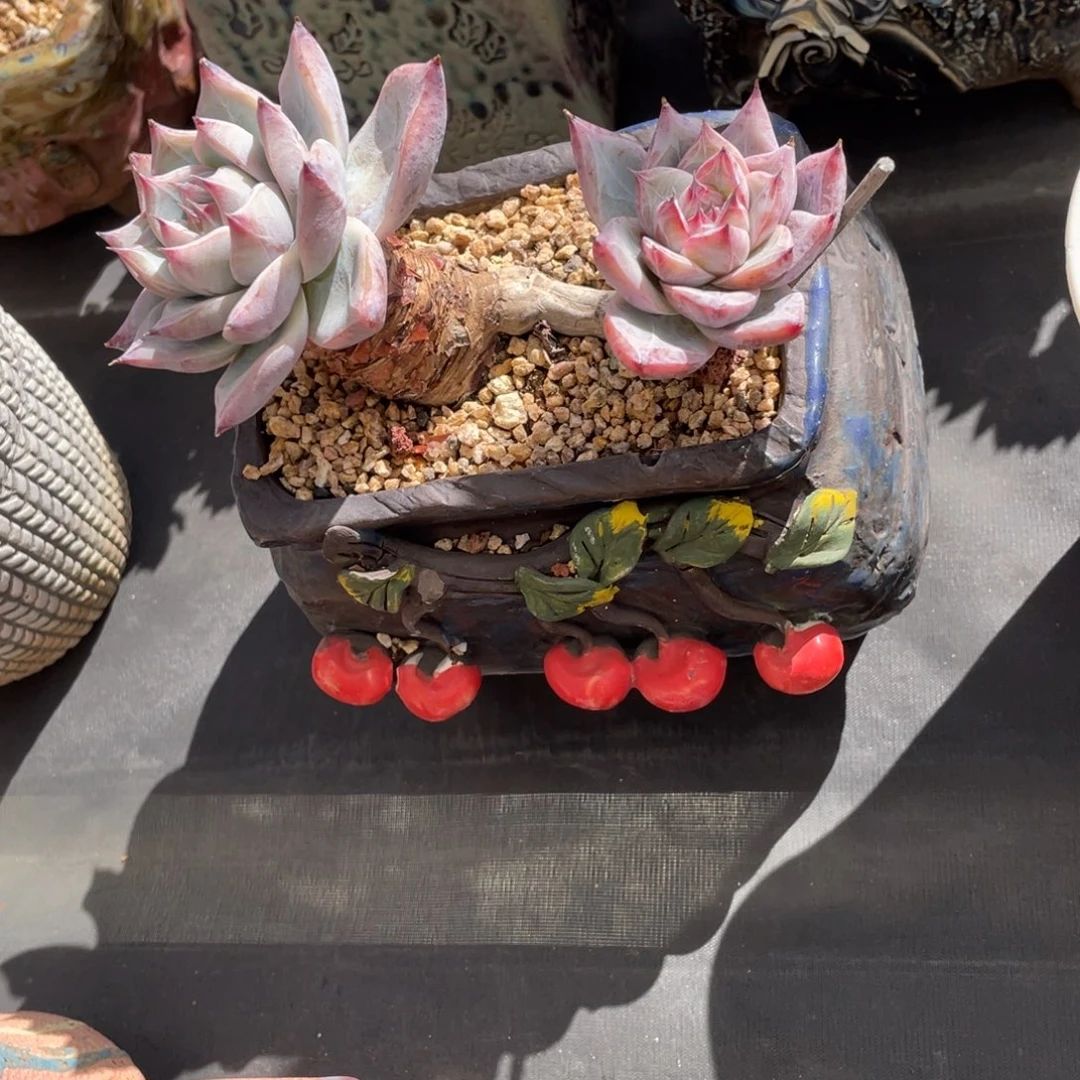 北极熊双头老桩粗腿