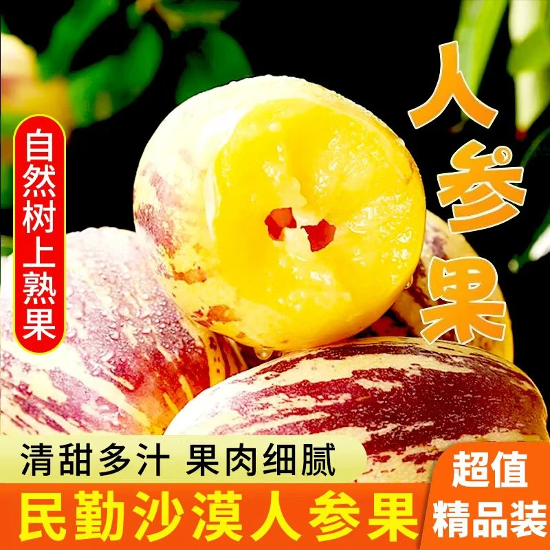甘肃民勤沙漠人参果树上熟新鲜采摘现摘现发坏果包赔售后无忧