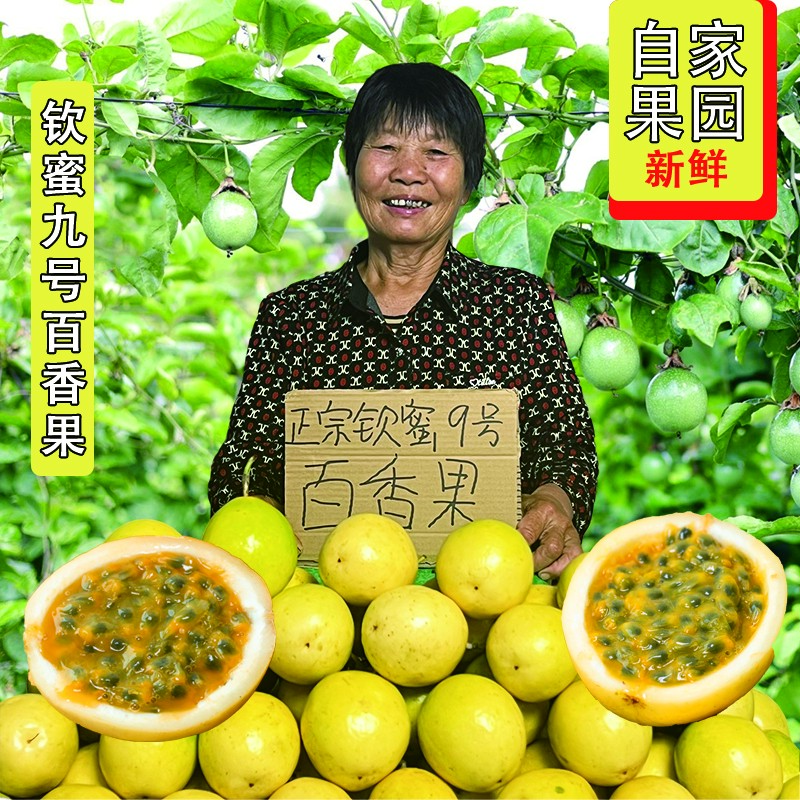 【顺丰包邮】海南钦蜜九号黄金百香果大果新鲜整箱水果