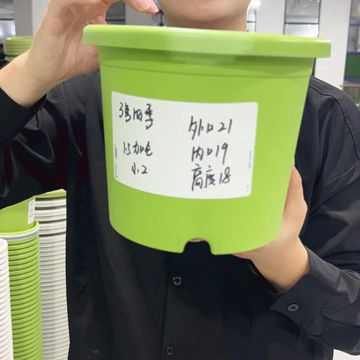 特价3号口21高18果绿色10只无托