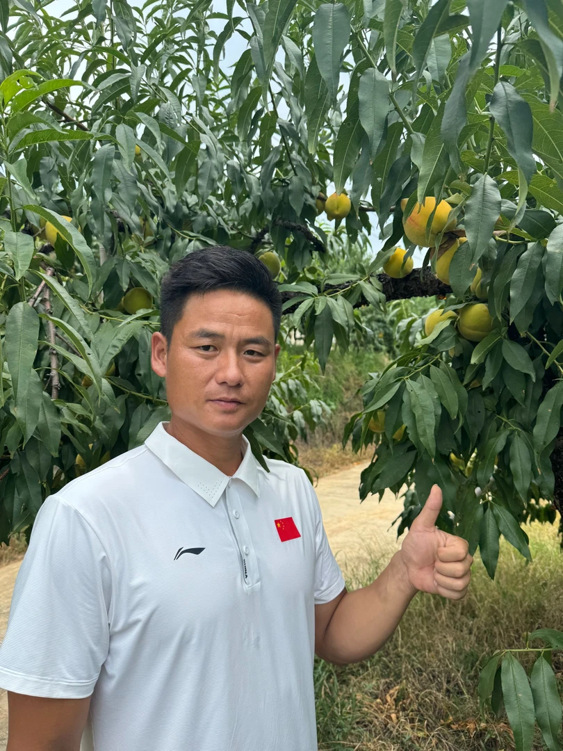 湖南麻阳兰里锦绣黄桃整箱9斤装横喇高山黄桃