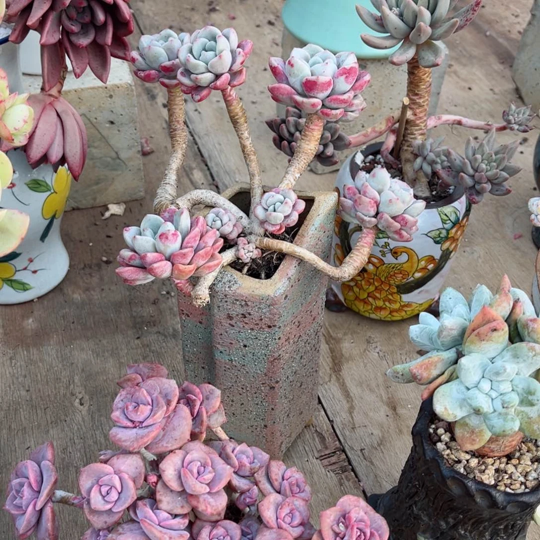 在这样下去．．．你的人生就是