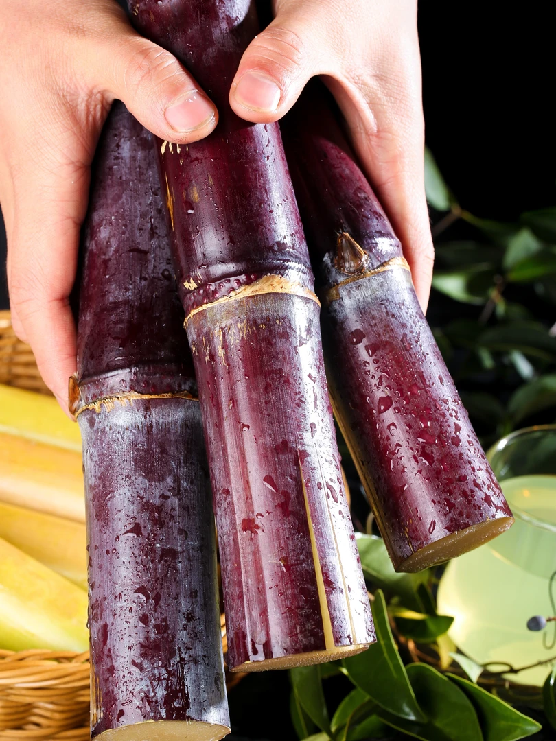 精品A+黑皮紫色甘蔗云南西双版纳基地直发