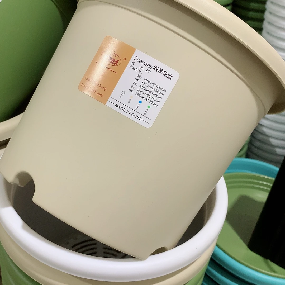 四季口21米黄5个无托