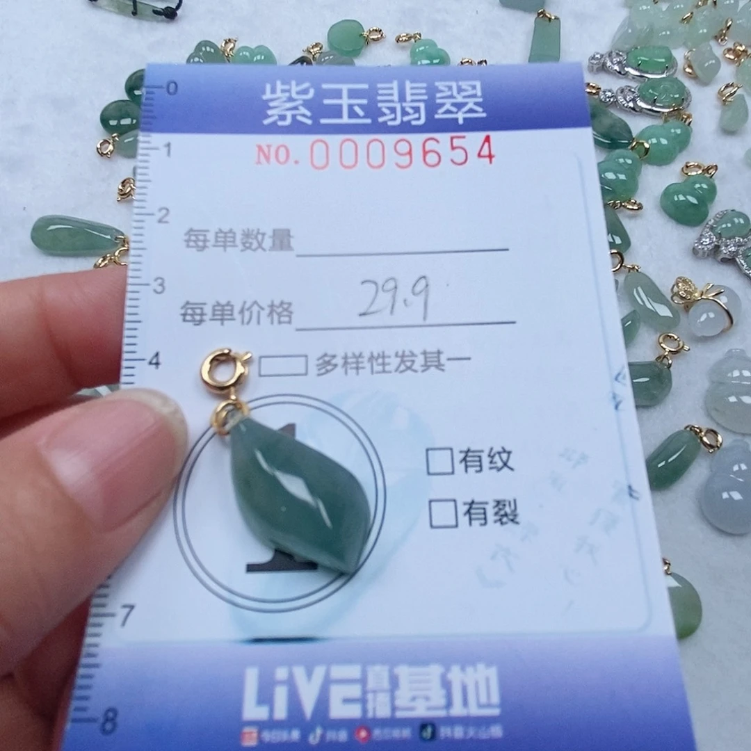 翡翠未镶嵌颈饰冰透随行